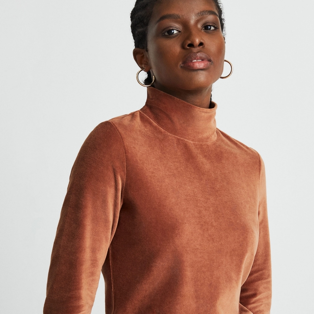 Everlane Velvet Turtleneck